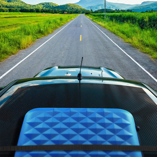 Universal Anti-Slip Car Roof Protector for MG